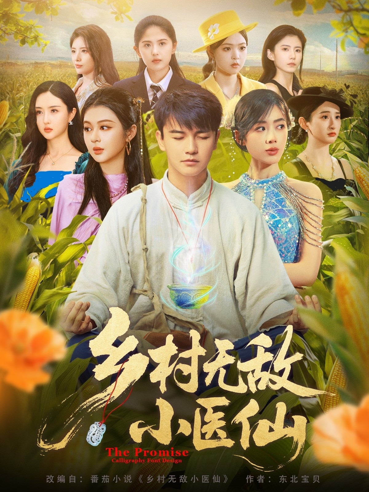 乡村无敌小医仙