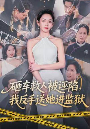 砸车救人被诬陷，我反手送她进监狱